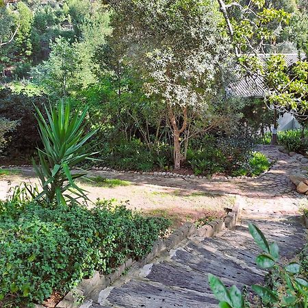 Badger'S Lodge Knysna Bagian luar foto