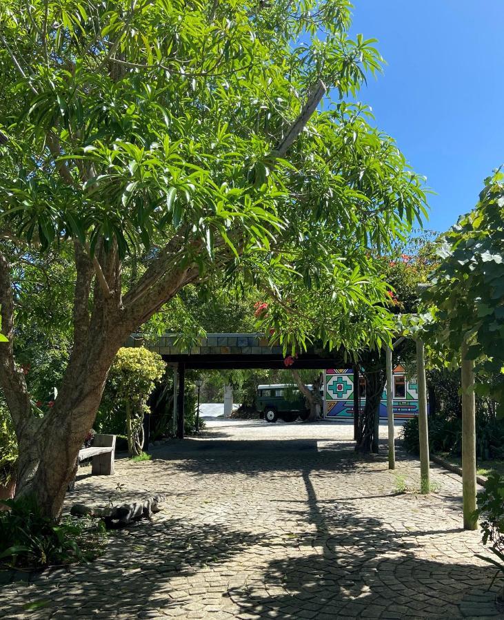 Badger'S Lodge Knysna Bagian luar foto