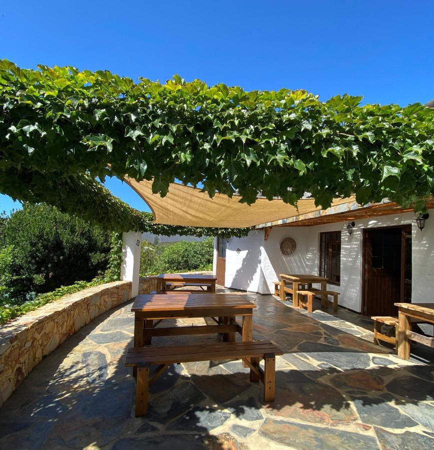 Badger'S Lodge Knysna Bagian luar foto
