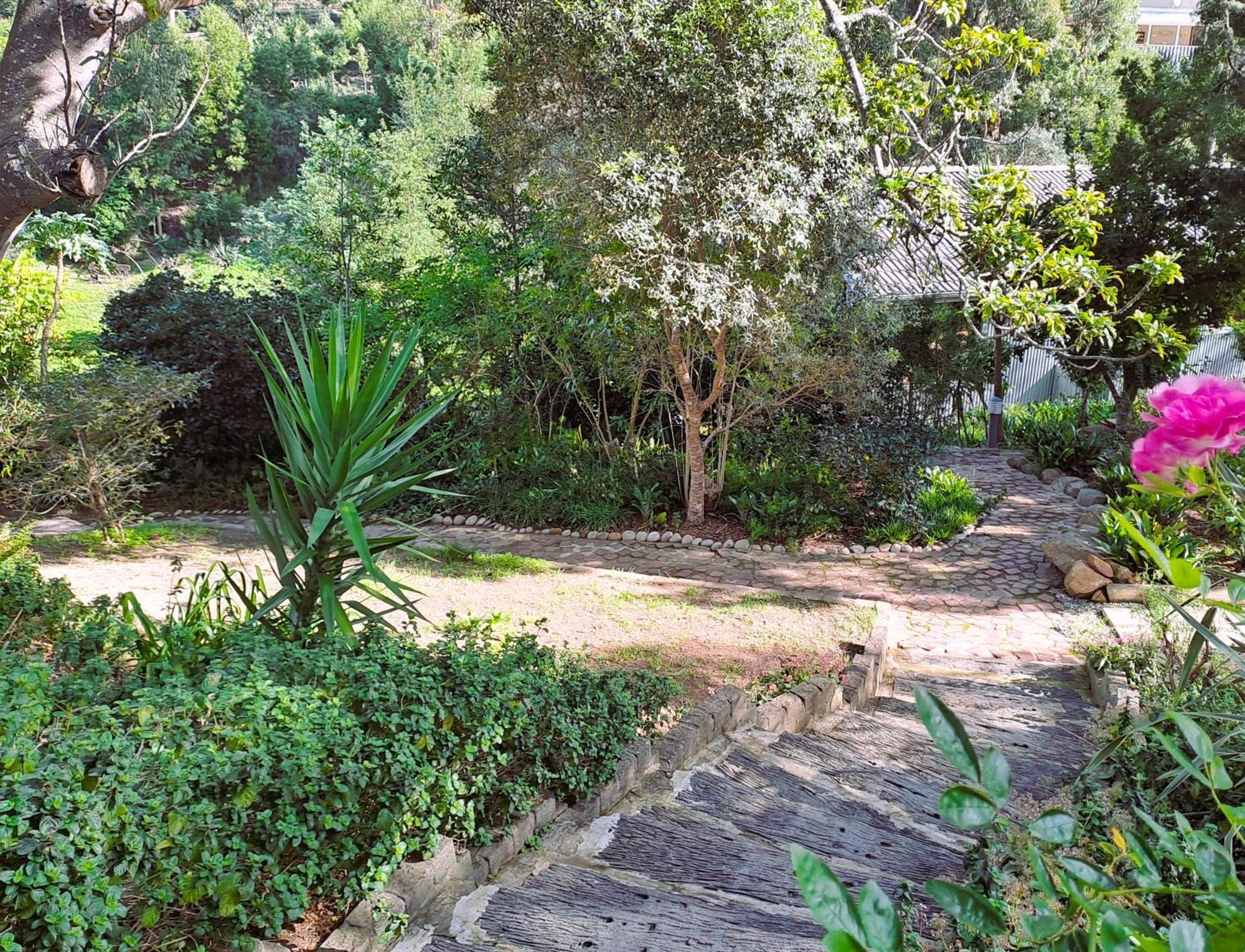 Badger'S Lodge Knysna Bagian luar foto