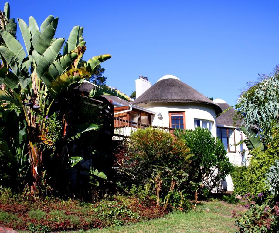 Badger'S Lodge Knysna Bagian luar foto